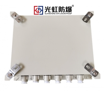 500X600X200粉尘防爆接线箱 防爆监控模块箱