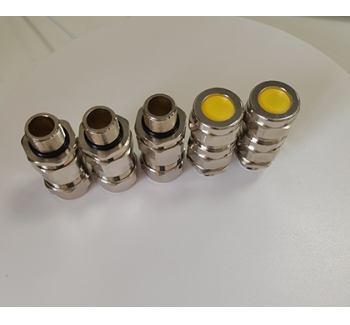 BDM-VII双密封防爆填料函