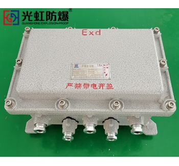 IIB隔爆型防爆接线端子箱空箱（IP54 T6）