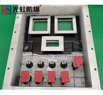 防爆仪表箱（带玻璃可视窗口）