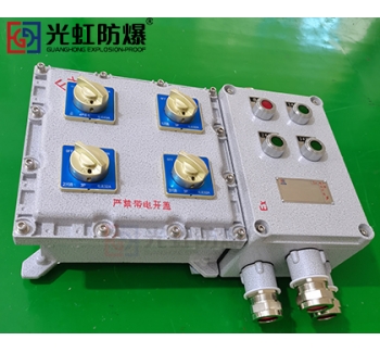 粉尘防爆配电箱 现场防爆动力配电箱