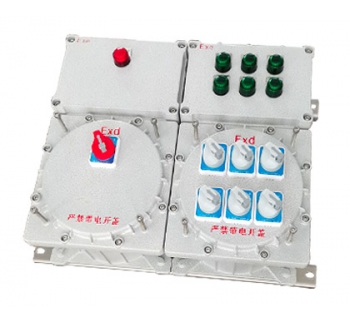 CT4/CT6防爆照明配电箱（户外壁挂式）