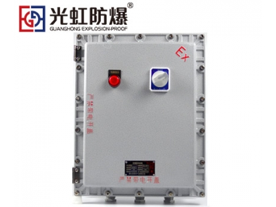 500X600X200粉尘防爆接线箱 防爆监控模块箱