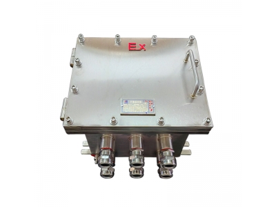 304不锈钢防爆接线箱 户外监控设备接线端子控制