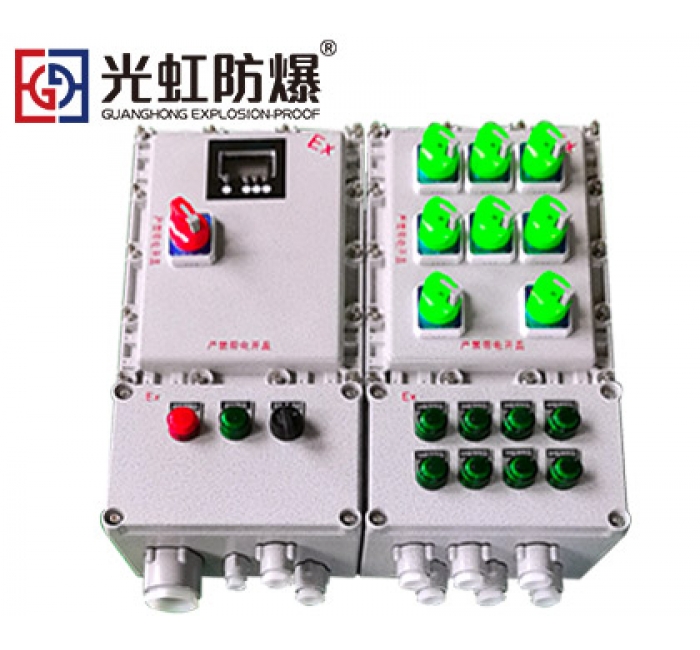 电伴热防爆温控箱 铸铝合金带观察视窗数显温度