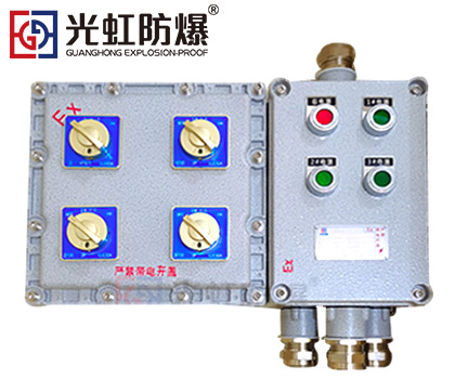 粉尘防爆配电箱 现场防爆动力配电箱