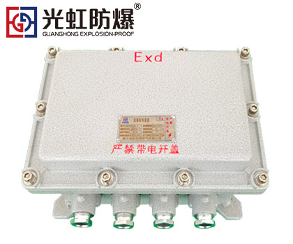 IIB隔爆型防爆接线端子箱空箱（IP54 T6）